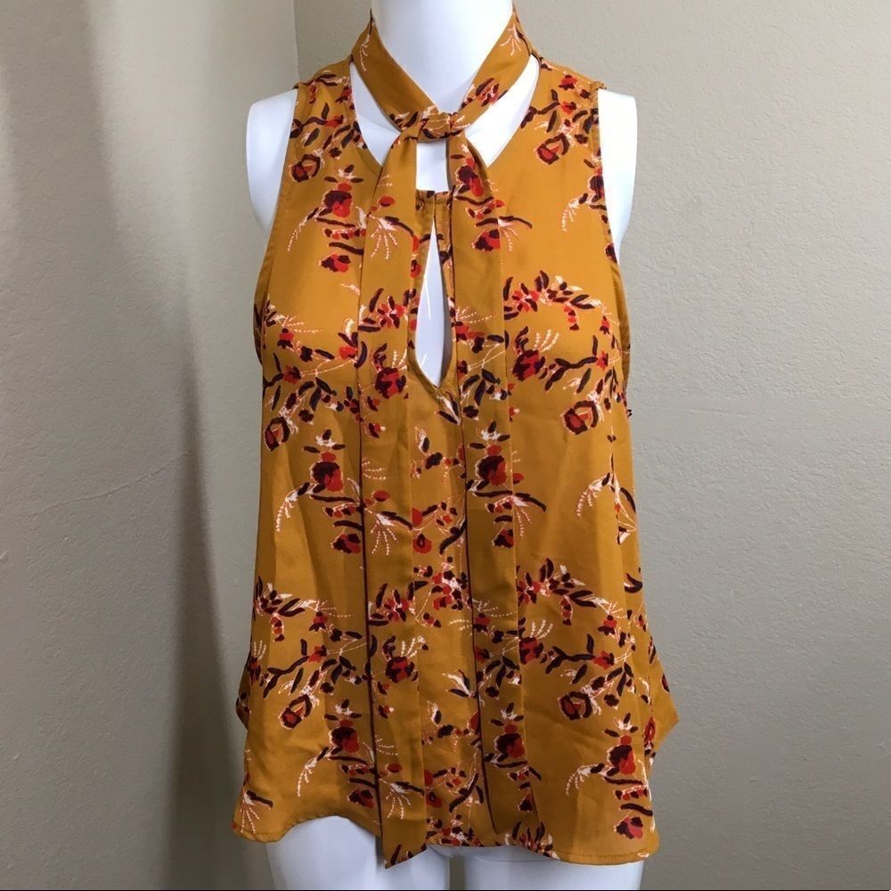 ASTR The Label Sleeveless Blouse With Tie Neck A6